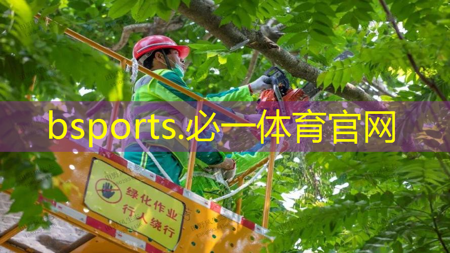 网球拍的安装过程图解说