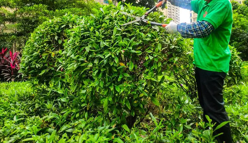 抽底线网球拍怎么抽