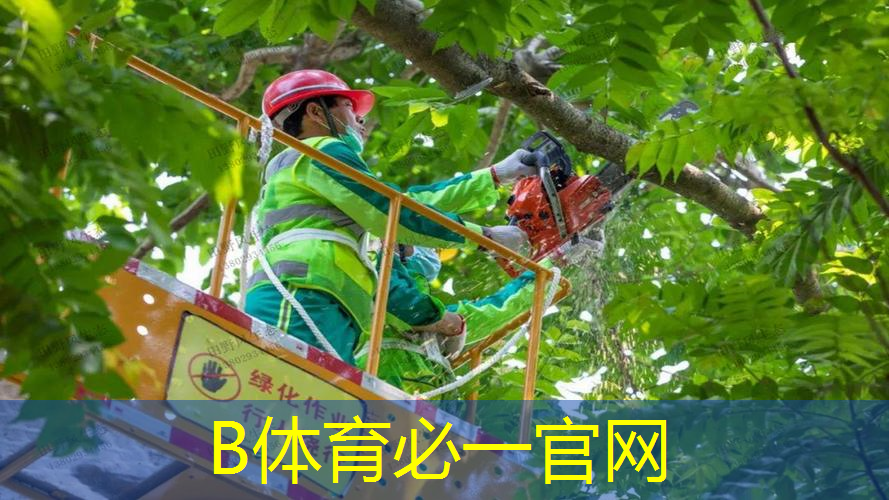 网球拍大人版怎么选择尺寸