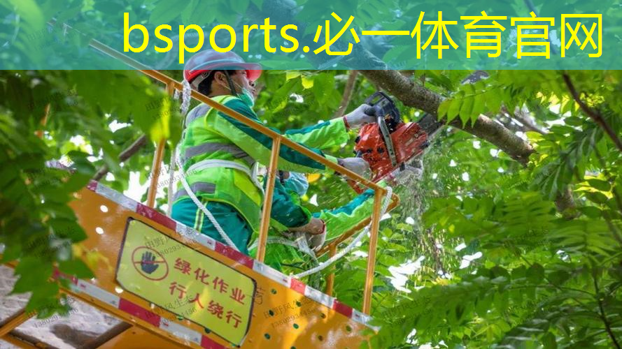尤尼克斯网球拍吧
