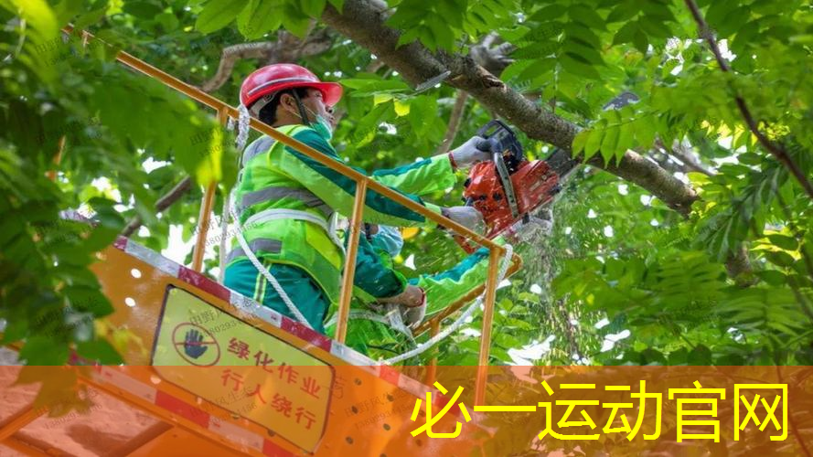 网球拍的八个面